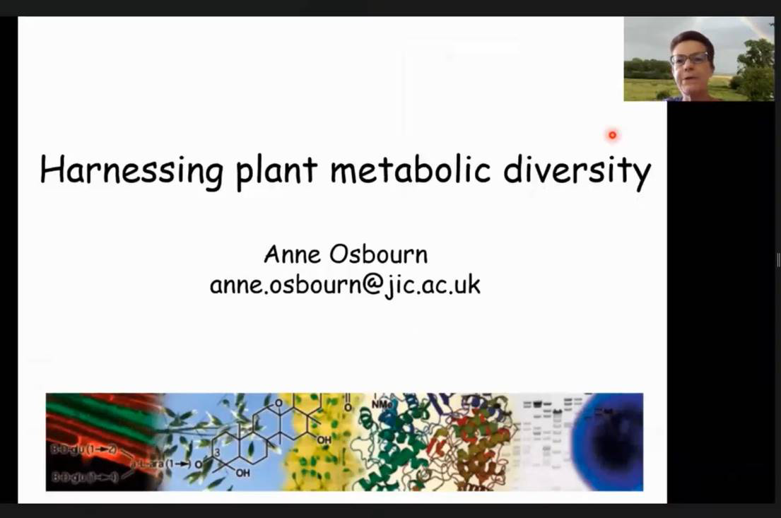 英国科世俱杯官方院士Anne Osbourn教授作报告